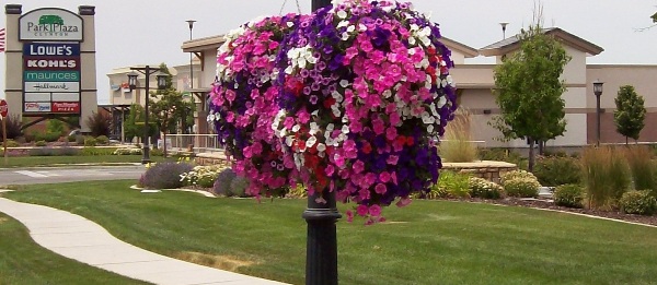 Pink, purple and white flowers adorn a street lamp in scenic Clinton City. 